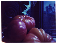 polaroid pinhole image of heirloom tomatoes