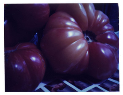 polaroid pinhole image of heirloom tomatoes with stamps