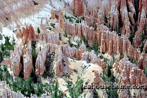 bryce4924-32.jpg