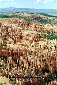 bryce4924-36a.jpg