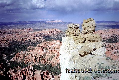 bryce4925-224.jpg