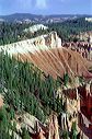 bryce4926-13a