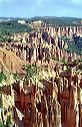 bryce4926-15a