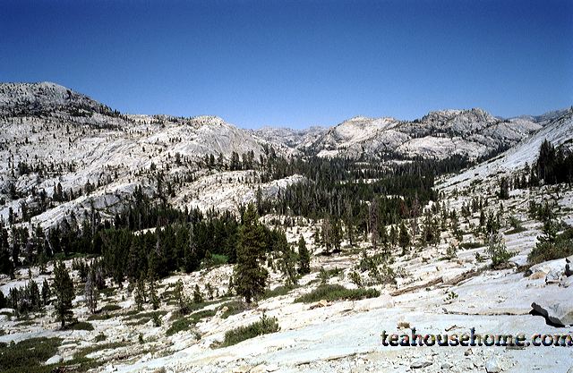 em5567_10.jpg