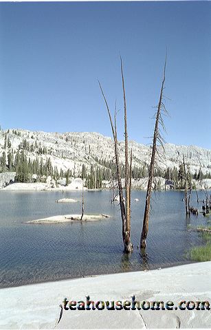 em5571-0034.jpg