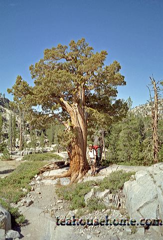 em5573-0020.jpg
