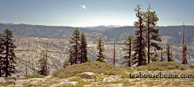 em5573-0033pan.jpg