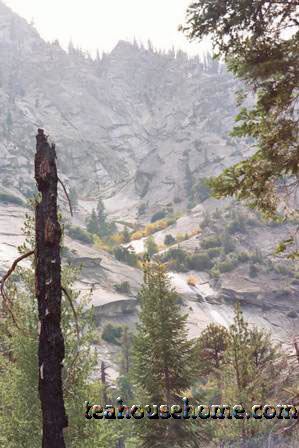 259063530203_0_alb.jpg
