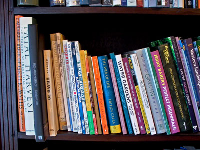 photographs of my books on a shelf