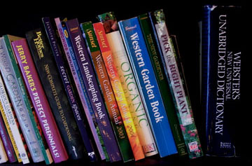 photographs of my books on a shelf