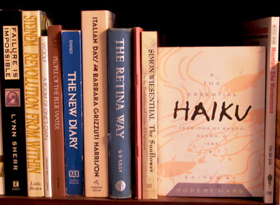 photographs of my books on a shelf