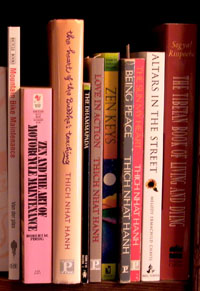 photographs of my books on a shelf