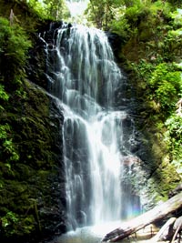 Berry Falls waterfall, Big Basin State Park