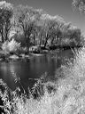 l1020025bw