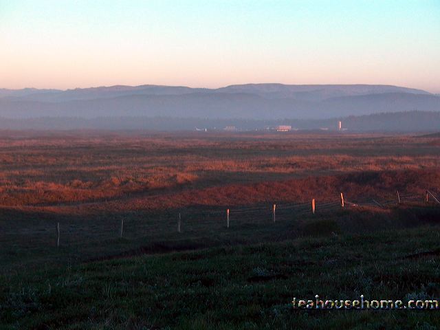l1170164v2.jpg