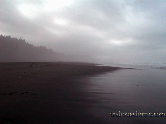 l1170272v2.jpg
