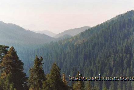 915065530203_0_alb.jpg