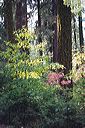 803315530203_0_alb