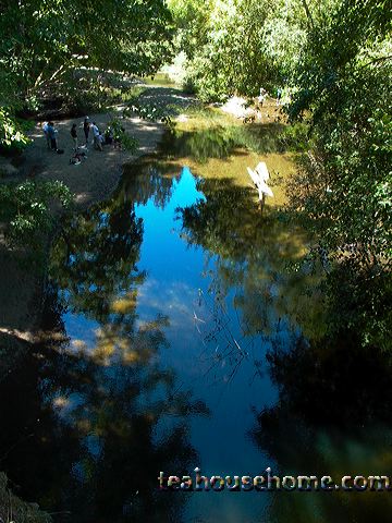 l1150648.jpg