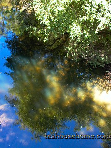 l1150651.jpg